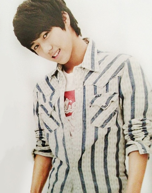 Seventeen Pledis fanfic/profile Member profile