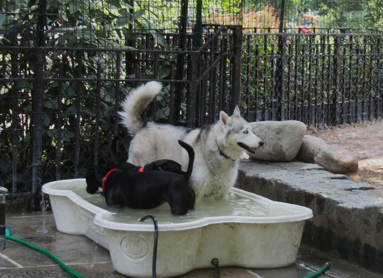 Reservoir Dogs Bark Like A Dog Reservoir Dogs Bark Like A Dog