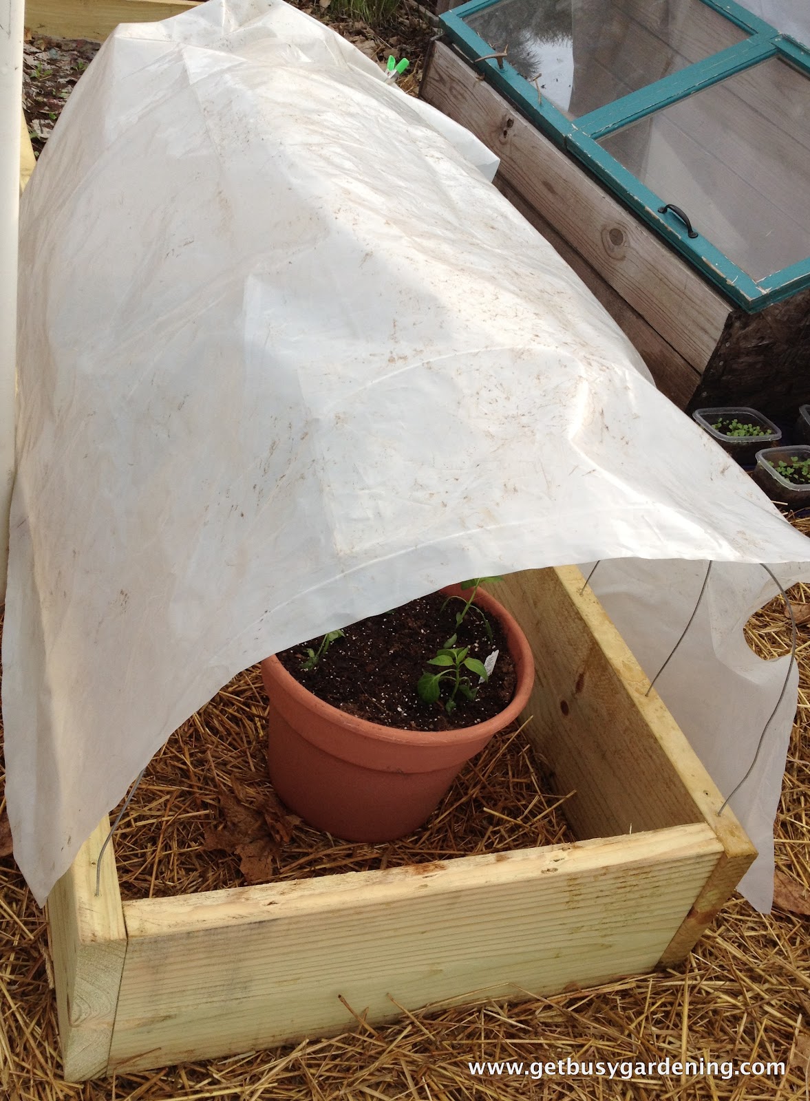 Raised Bed With Cold Frame Get Busy Gardening