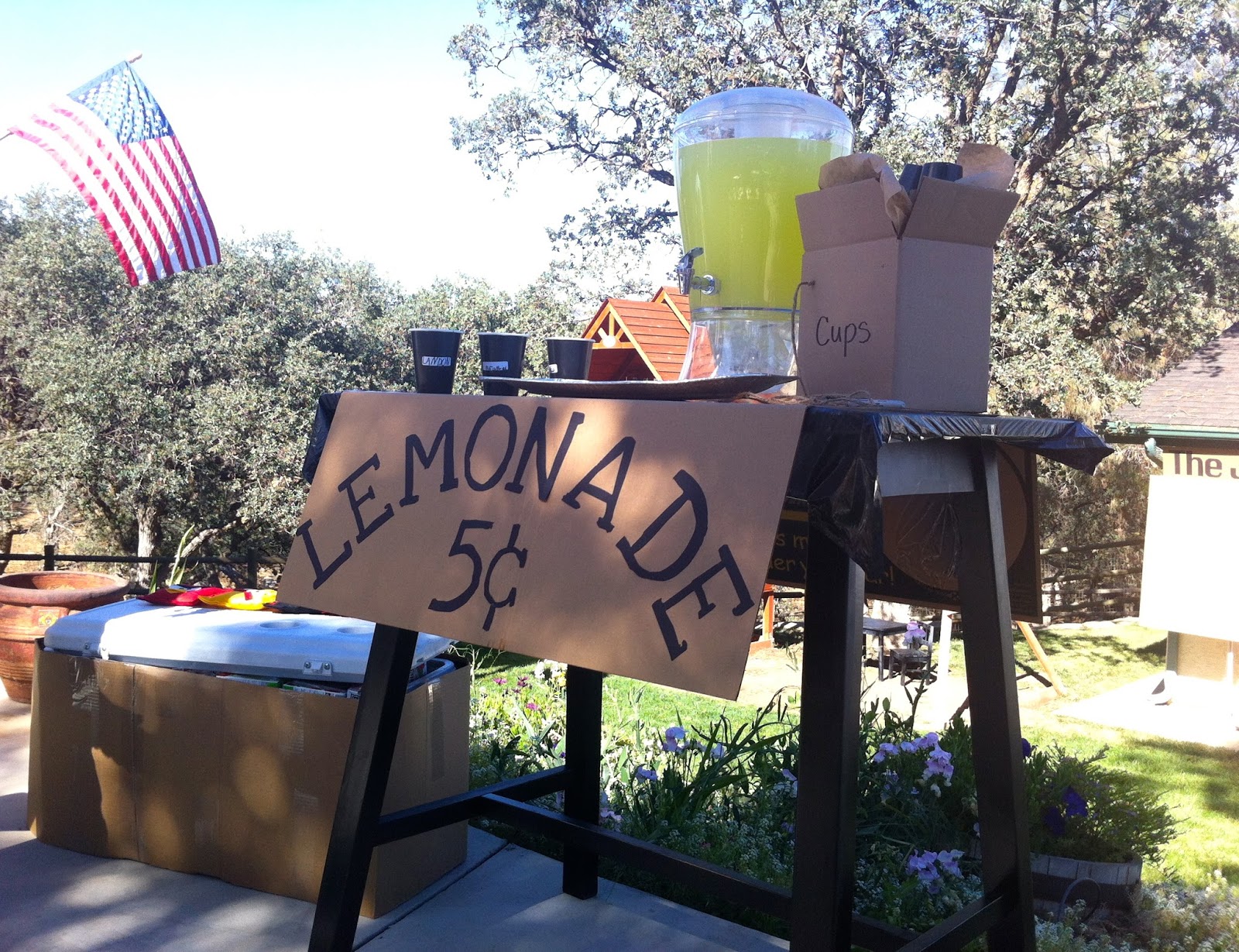 From the Carriage House Cardboard Party Lemonade Stand