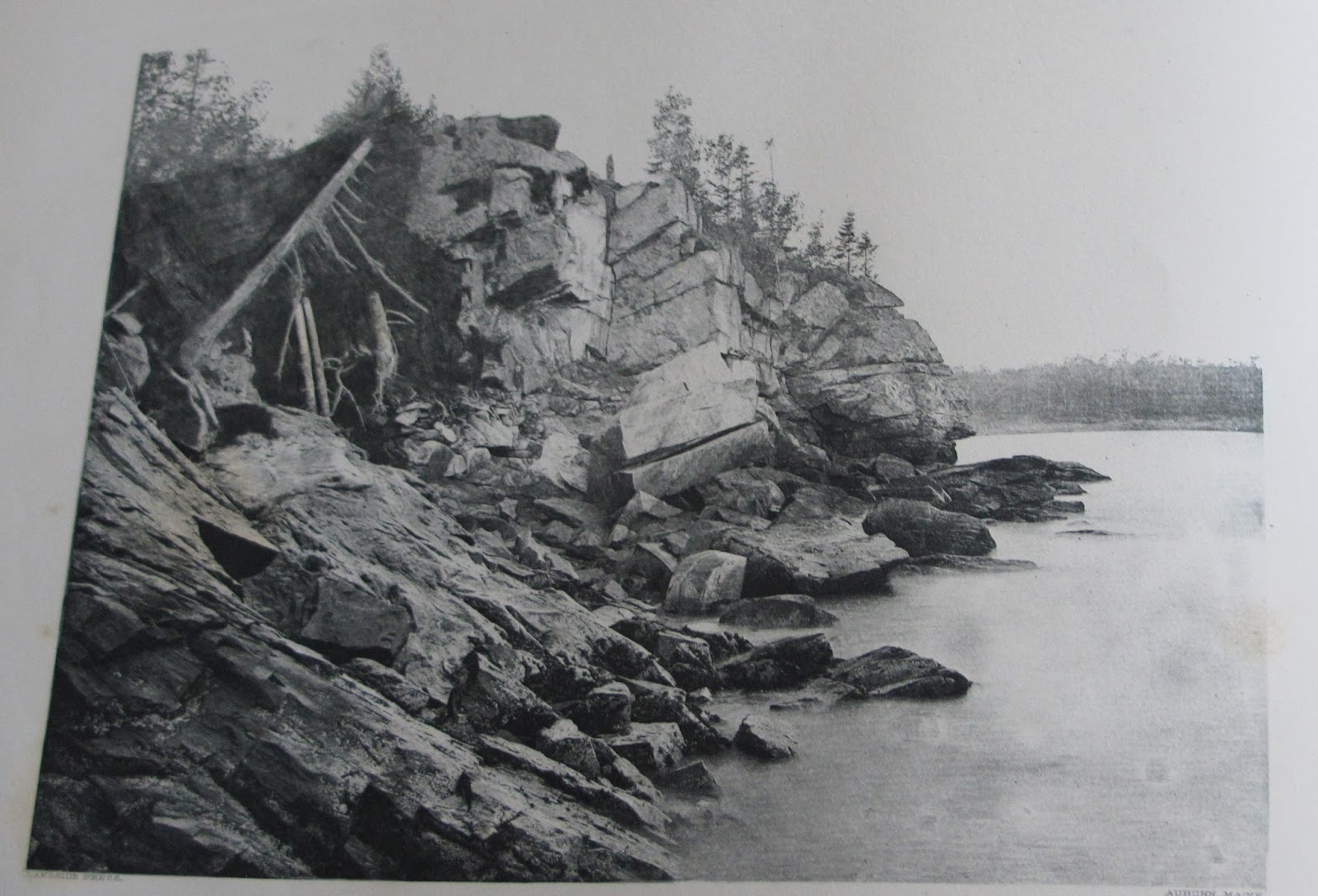 Nautical by Nature Nautical Coffee Table Books