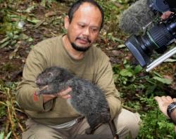 9 Hewan Terbesar yang Pernah di Temukan di Indonesia