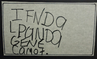 Spidertown essay 06 image