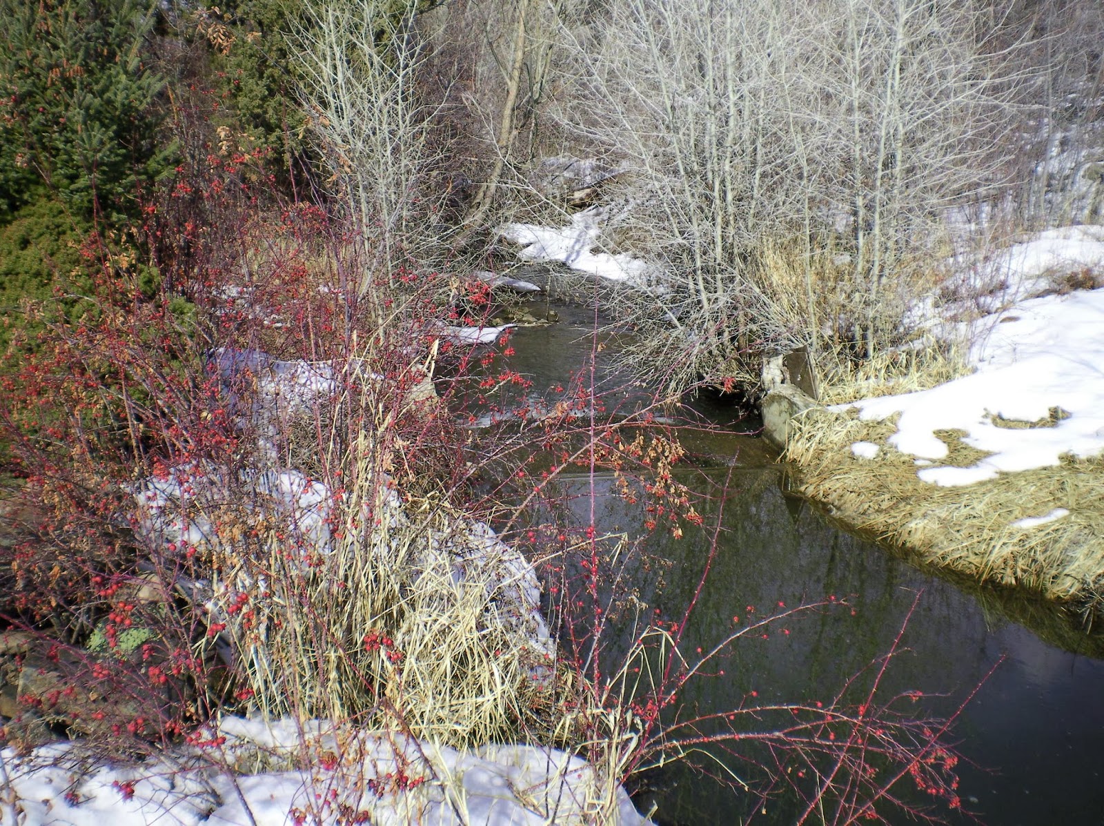 Utah Realtor Mike Ulrich