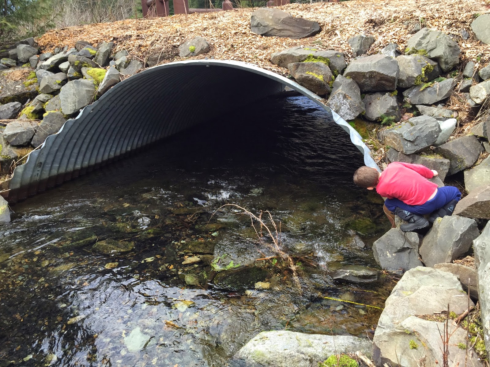 Adventures with Jake Gold Creek Pond Spring 2015