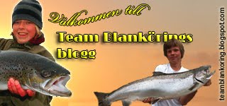 Team Blank Öring