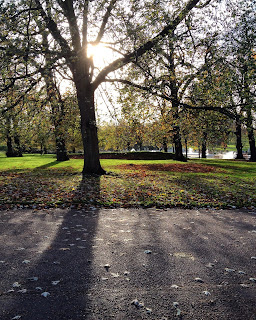 Sunshine in Hyde Park