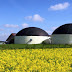 Biogas Sebagai Energi Alternatif yang Terbarukan