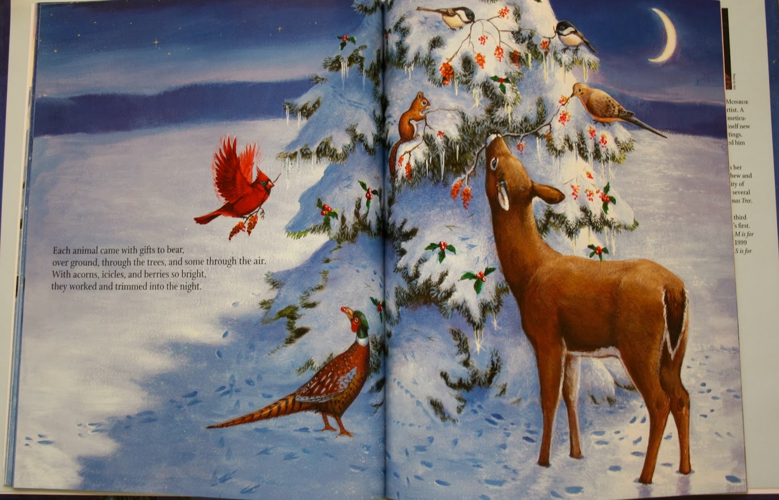 Sunshiny Days Christmas Book Advent