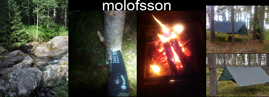 molofsson