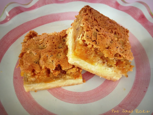 Apricot Squares 3 PS+Apricot+Bars+(2)