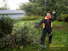 Pihapuutarhuri talonmies kantoapusi Ota yhteyttä talonmiespalvelu@gmail.com ensi sijassa