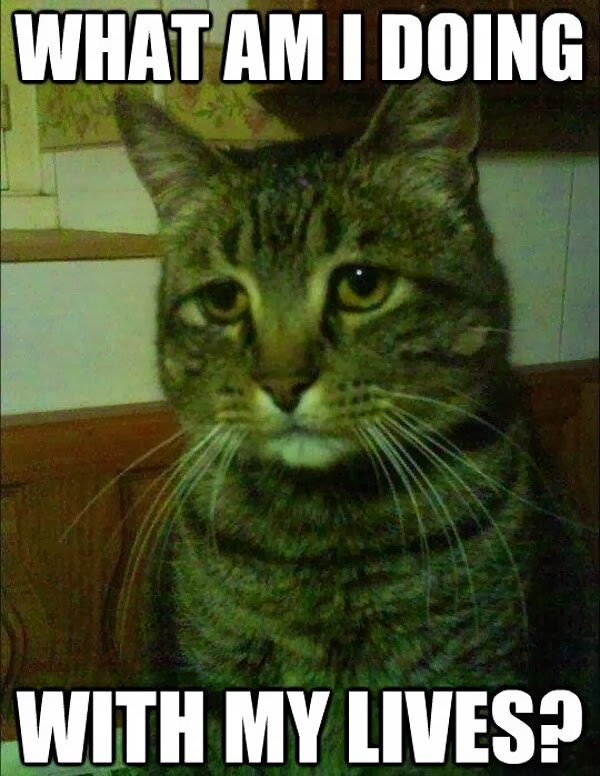 Did Ross Get Paid When He Was On Sabbatical Friends Tv Show