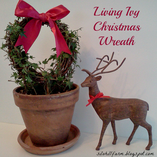 Silo Hill Farm LIVING IVY CHRISTMAS WREATH