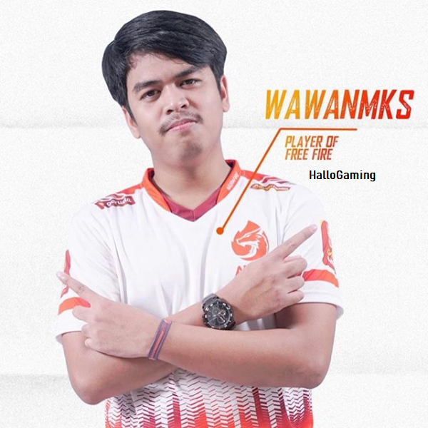 Profil Wawan Mks Pro Player Free Fire Lengkap Hello Gaming Prosc gaming, jr vor 8 monate +3. hello gaming blogger
