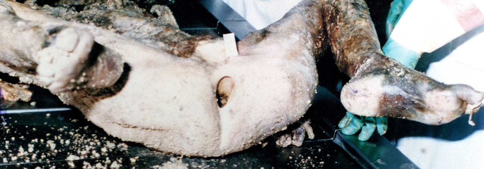 video wife crying naked anal cadaver