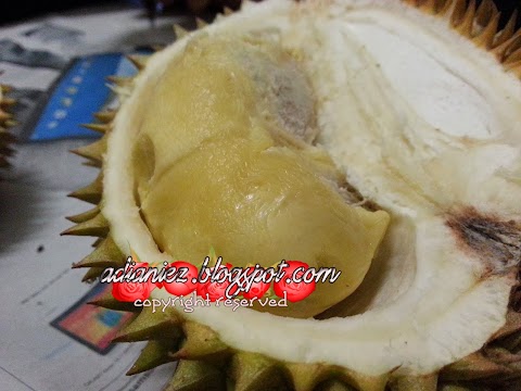 MUSIM PANAS ~ MAKAN DURIAN !