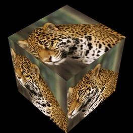 Rotating jaguar