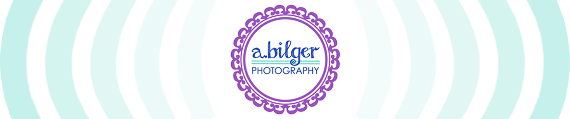 A.Bilger Photography