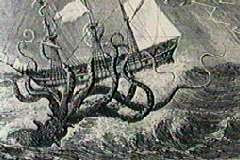 monster kraken kebenaran keberadaan monster gurita raksasa