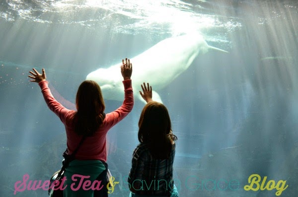 Georgia Aquarium - www.sweetteaandsavinggraceblog.com