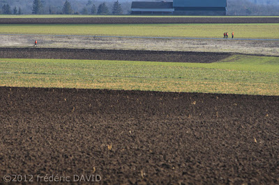 CANON EOS 50D + 70-200mm f2.8 L IS