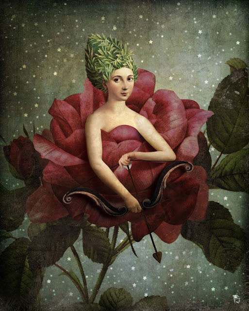 378368 190344984445826 98364556 n