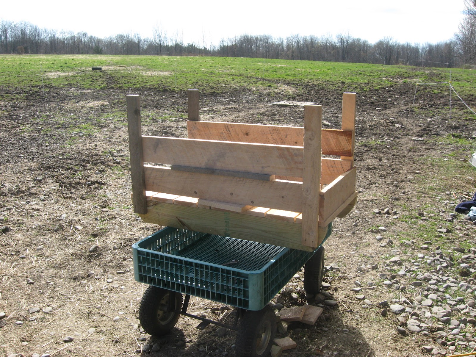 The Dancing Donkey Slow Feeder