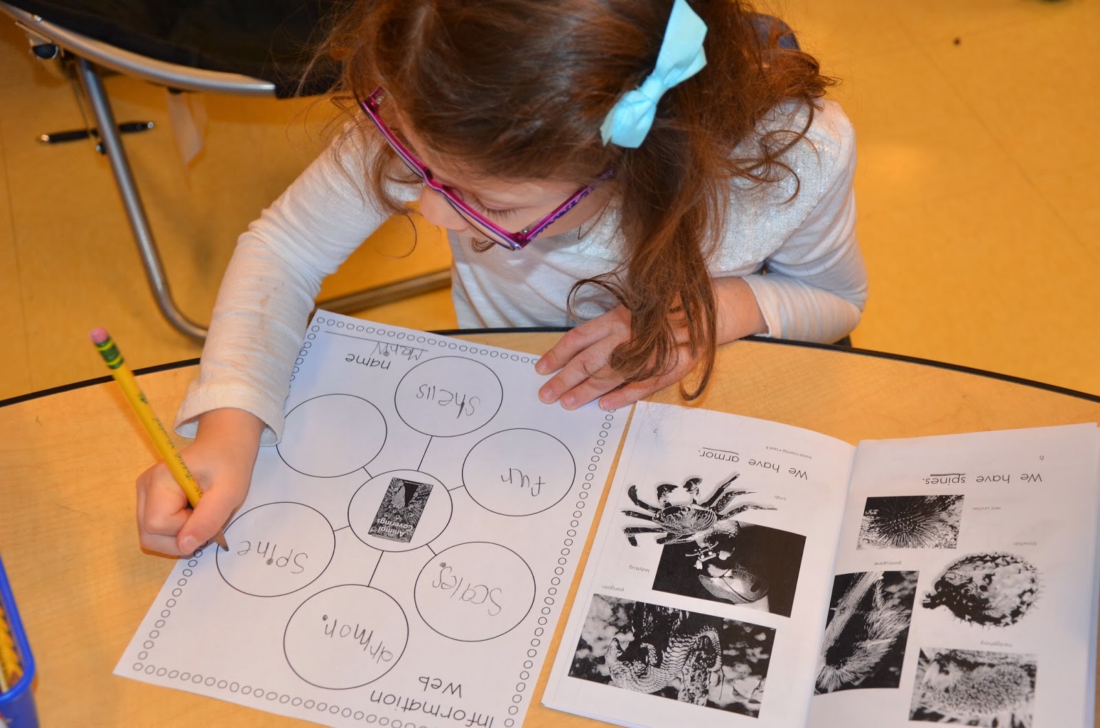 Nonfiction Books For Kindergarten