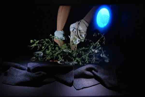 3land Info November 2012