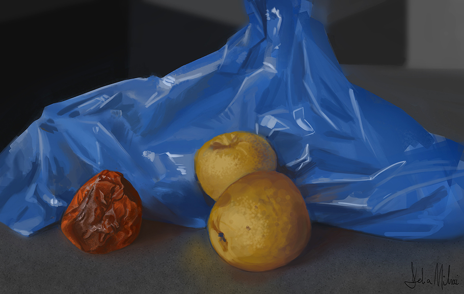 stilllife_delira.jpg