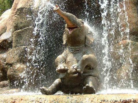 VIDA DE ELEFANTE vida de elefante: