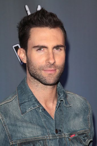 adam levine the voice. Adam Levine