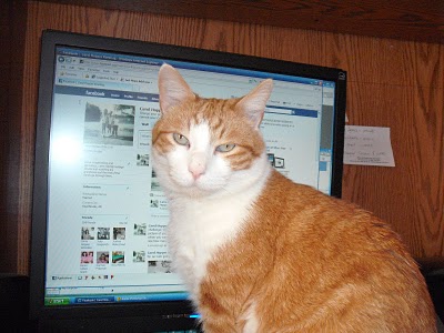 ... as this Kat quickly discovered, Shagbook is an adult 'dating' website. ... as this Kat quickly discovered, Shagbook is an adult 'dating' website.