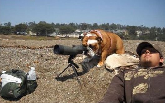 Everything: Jada Fire