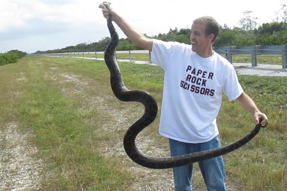 Florida Python Hunters Nov. 12th Catch