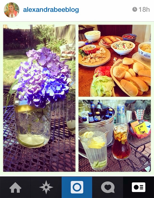 Hydrangea Sargentiana Care And Culture Travaldo S Blog