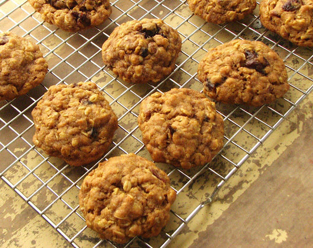 Delectably Mine Pumpkin Oat Cookies