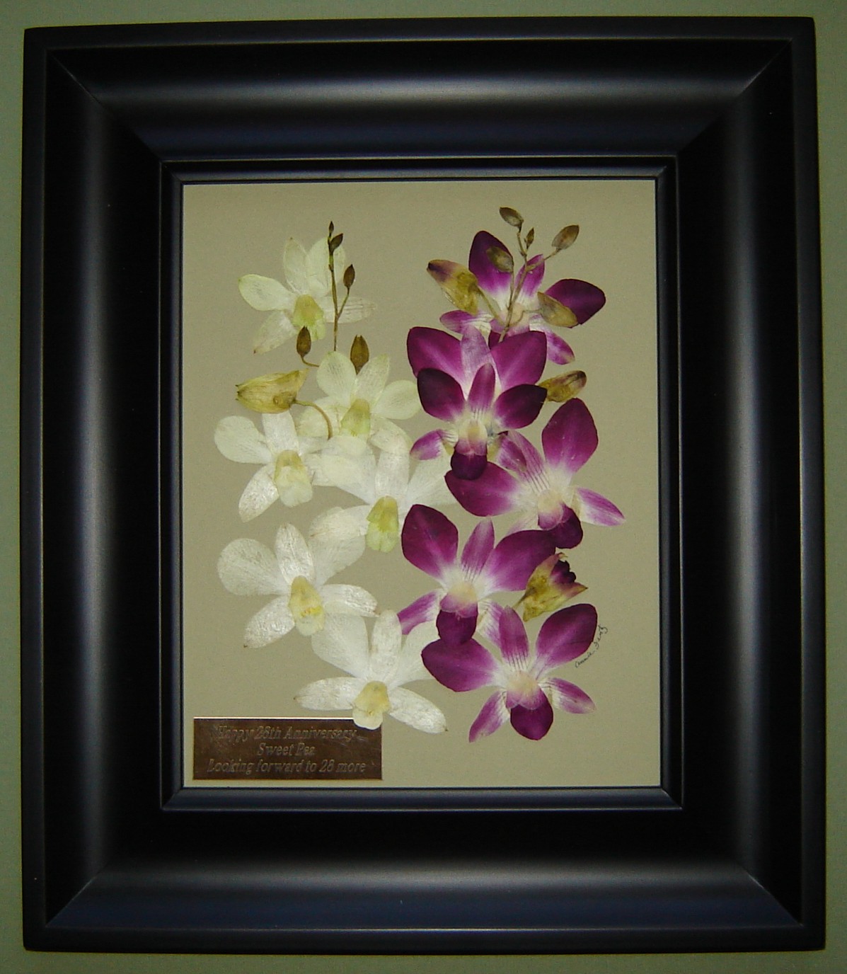 Pressed Garden White and Purple Dendrobium Orchids