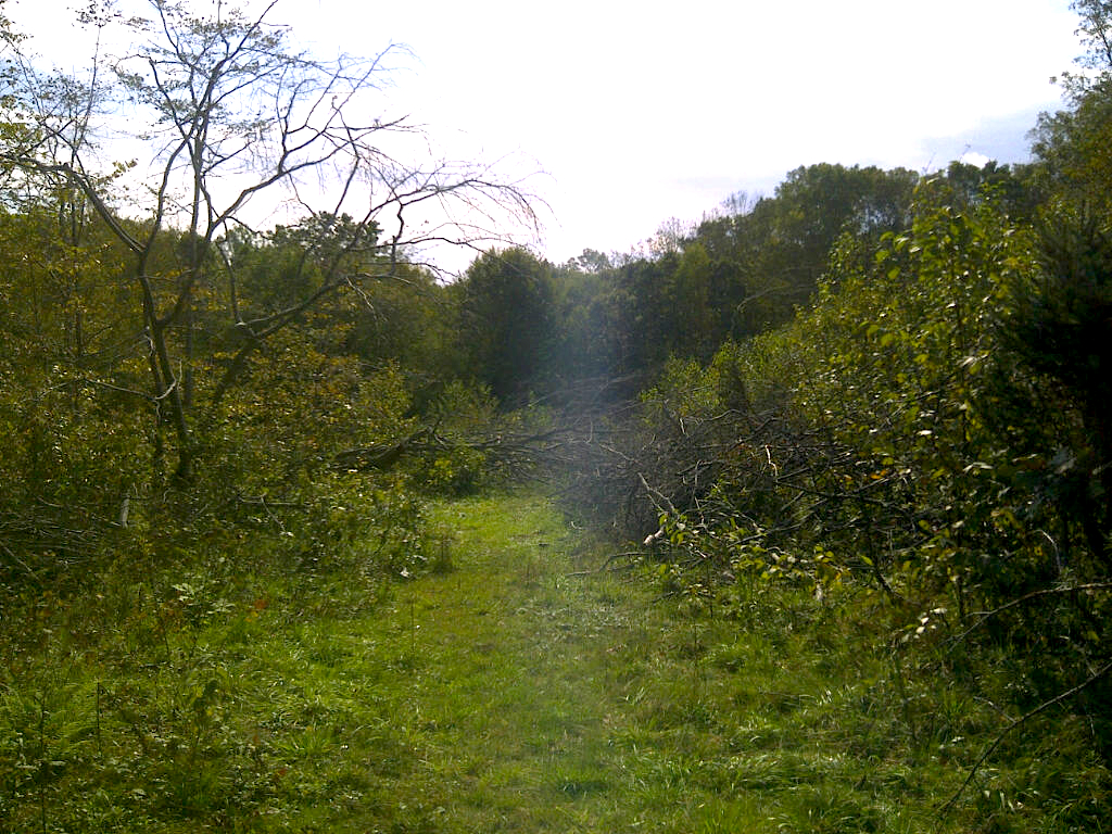 Two Blue Boots Farm Tour Preston Christmas Tree Farm