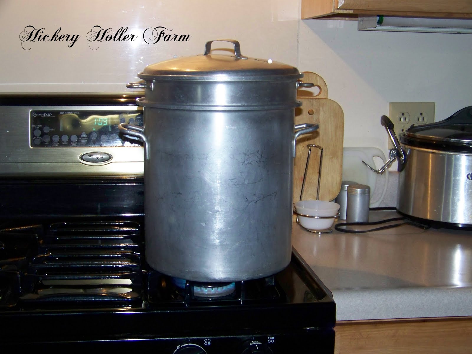 Hickery Holler Farm Dehydrated Sliced Potatoes