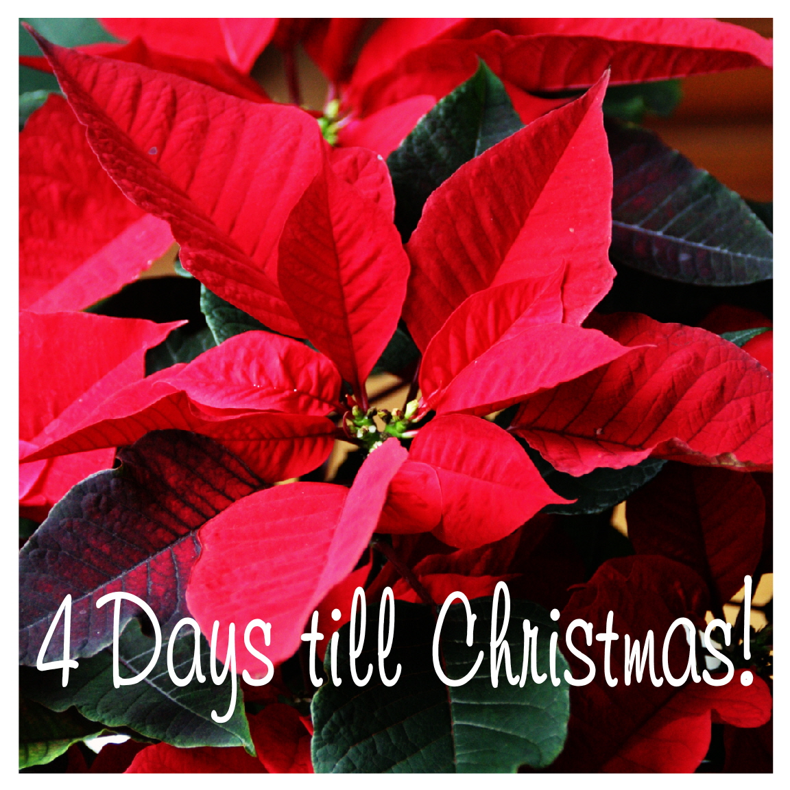 Life In Pieces: December 2011