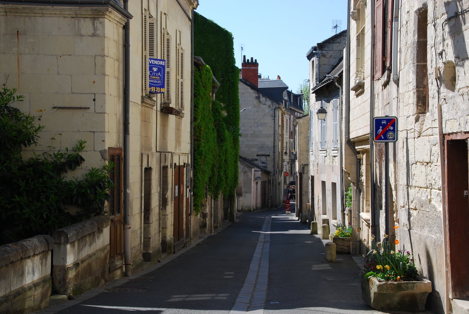 Mr. and Mrs. in PARIS French Wine Country Part Une
