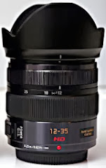 Lumix X 12-35mm f/2.8
