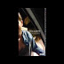 Charlie Sheen drunk greets fans at Taco Bell Drive-thru (Video)