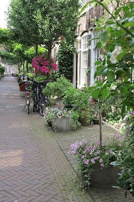 container garden, urban garden, pink, hanging basket, pink, Haafner