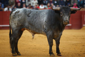 Levantado del suelo Levantado del suelo