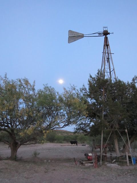 Sonoran+windmill+with+full+moon.JPG