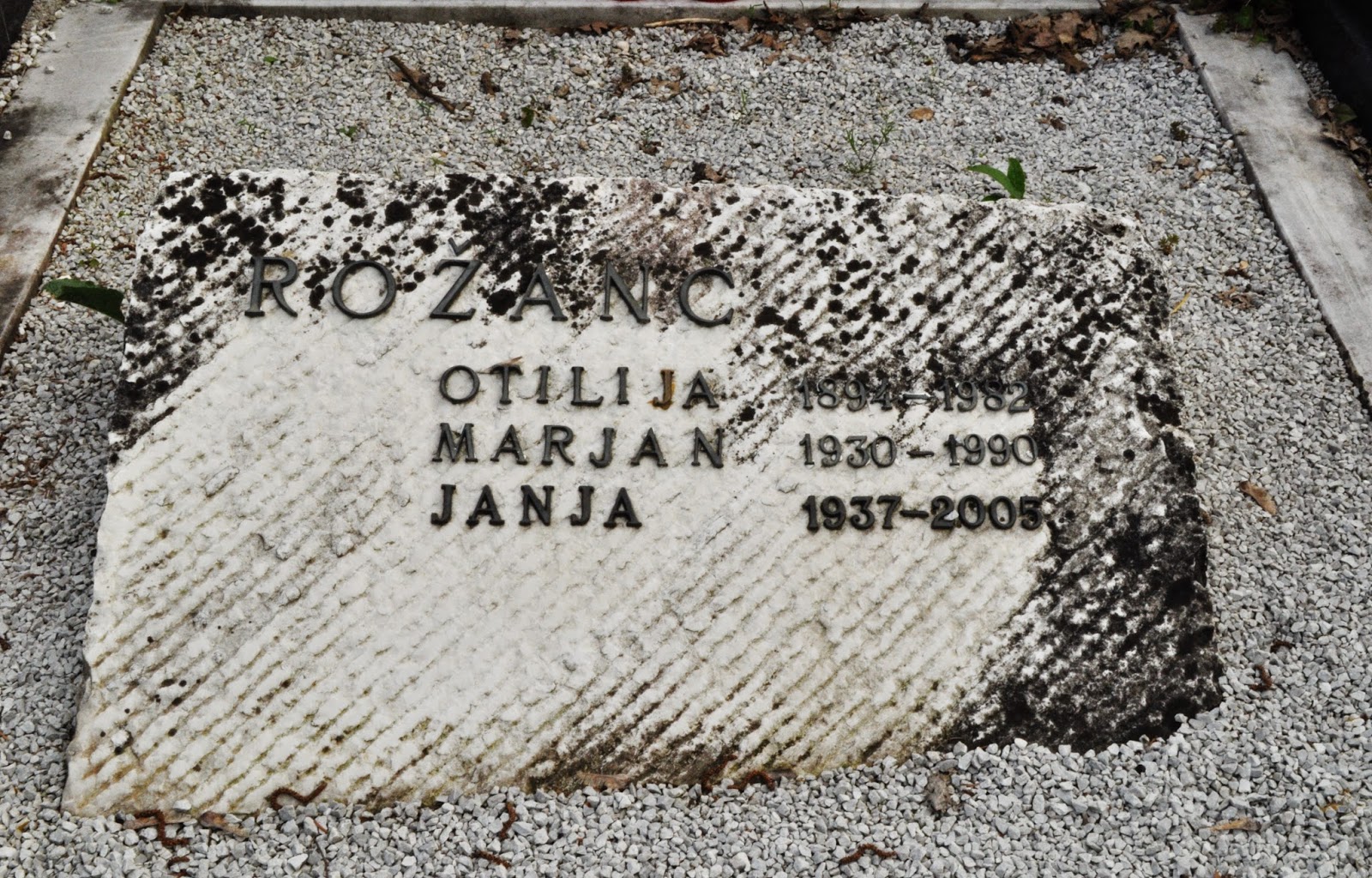 Marjan Rožanc