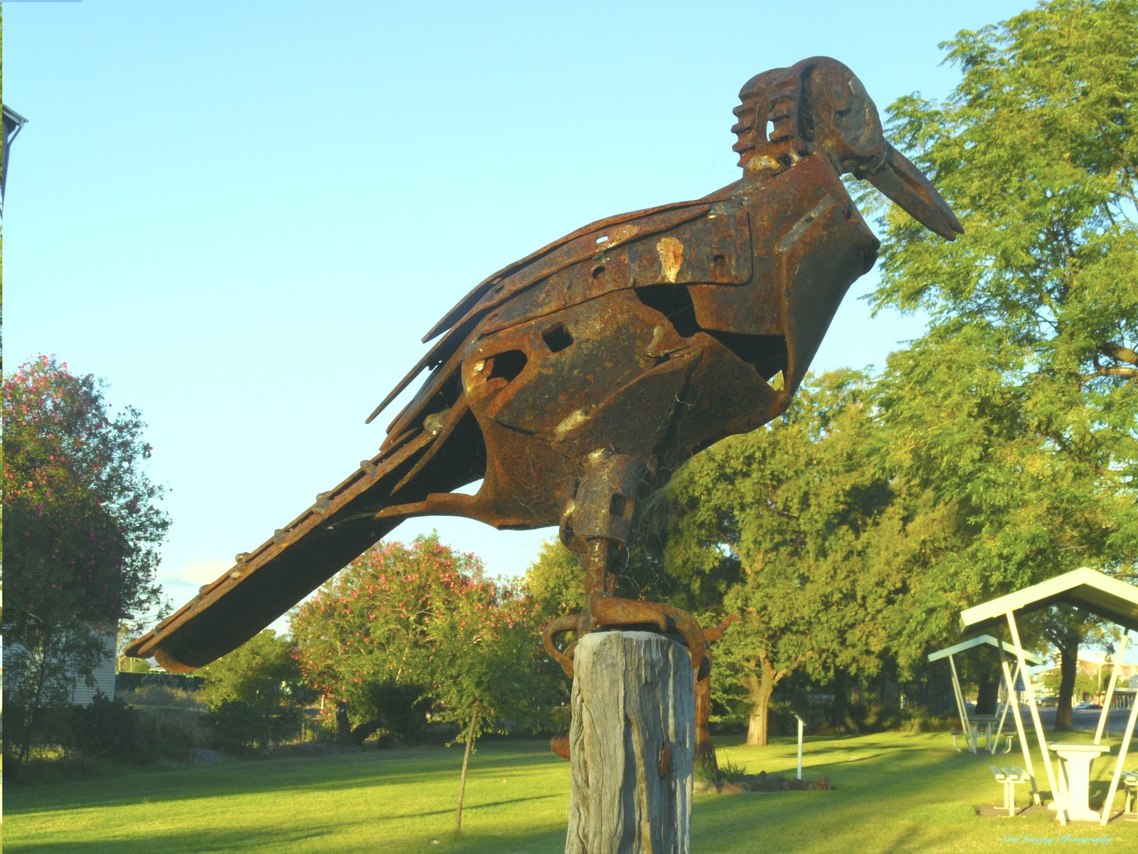 Avan Touring in Australia Dunedoo